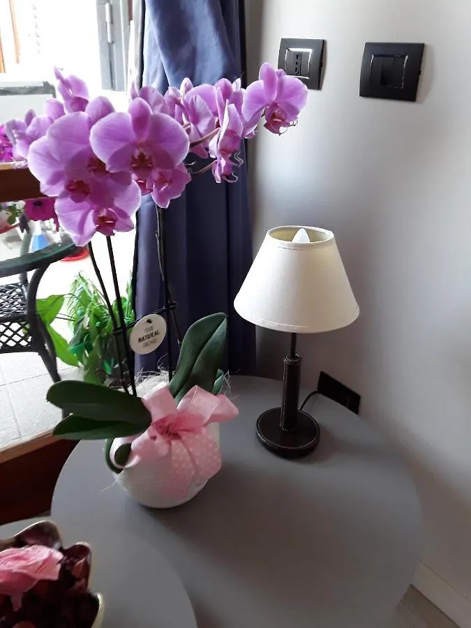 Bed & Breakfast B & B La Terrazza Sul Mare Portoferraio